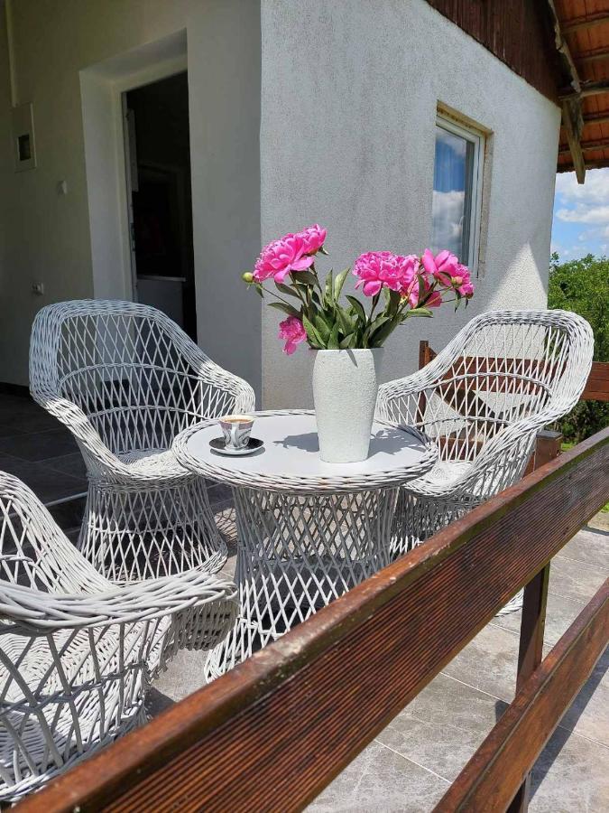 Vikendica Gaj Villa Gornji Milanovac Buitenkant foto