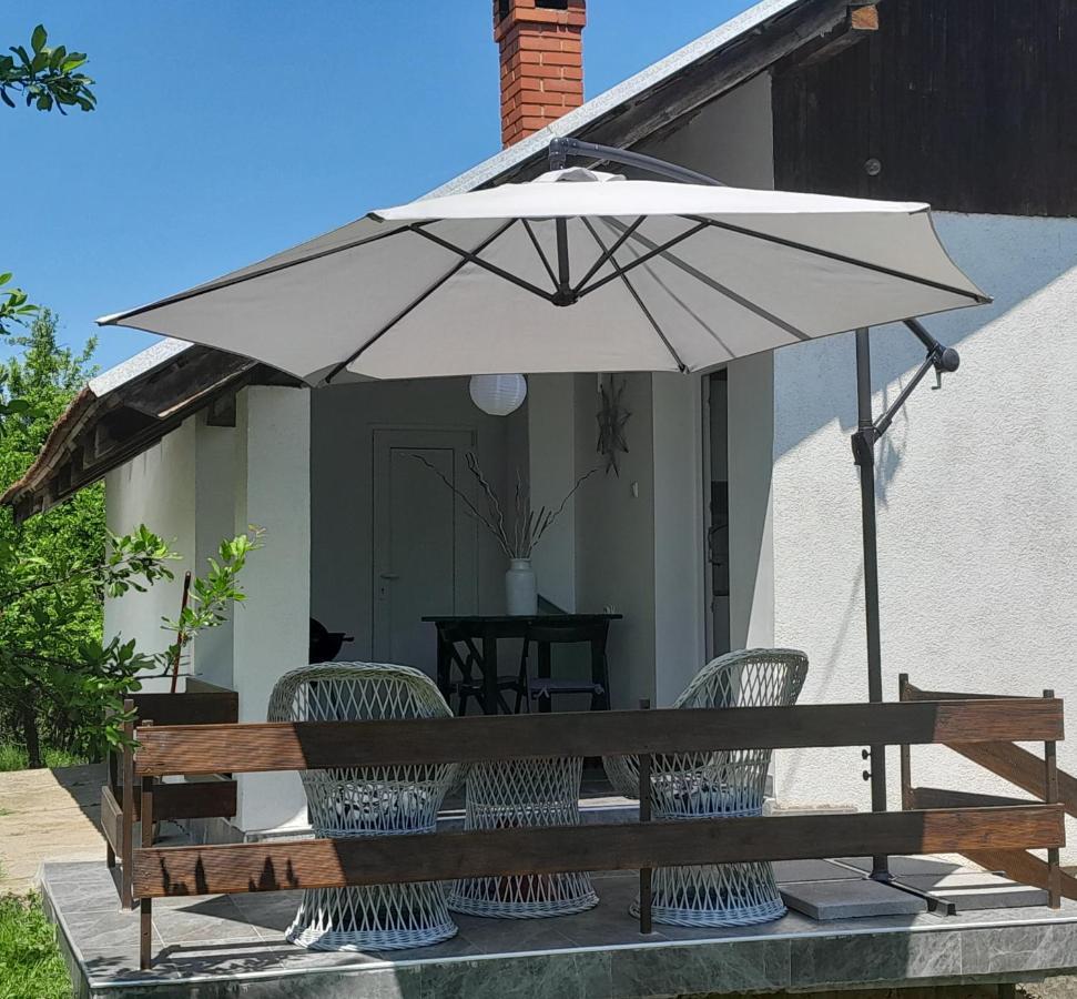 Vikendica Gaj Villa Gornji Milanovac Buitenkant foto