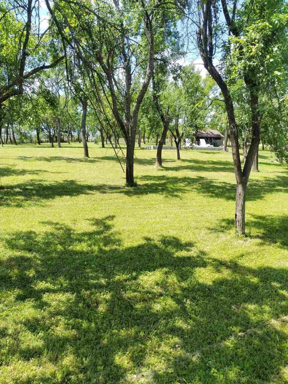 Vikendica Gaj Villa Gornji Milanovac Buitenkant foto